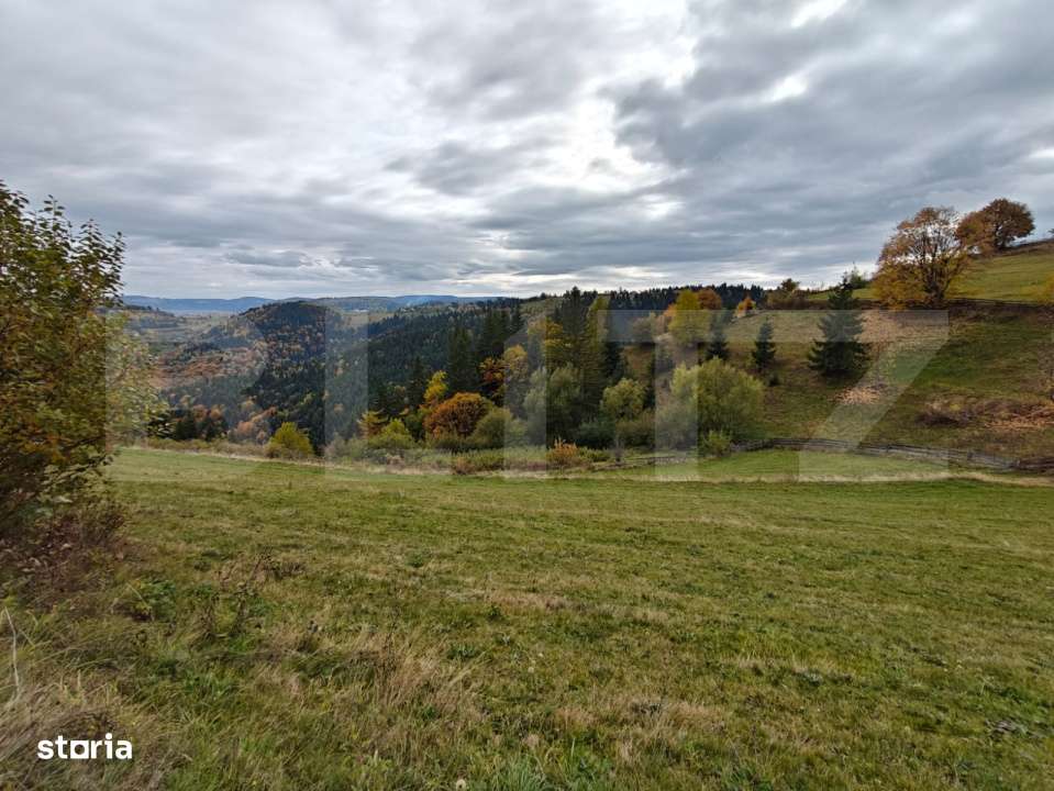 Teren spectaculos, ideal pentru cabana, parcelabil, cu utilitati, in M - Imagine principală: 4/4