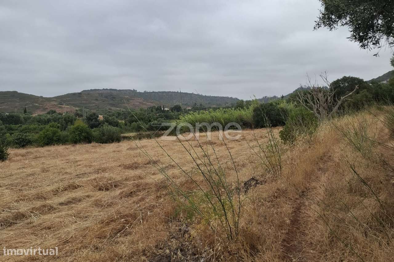Terreno Rústico c/ Furo, c/ 18.360m2 em Messines - Grande imagem: 2/24