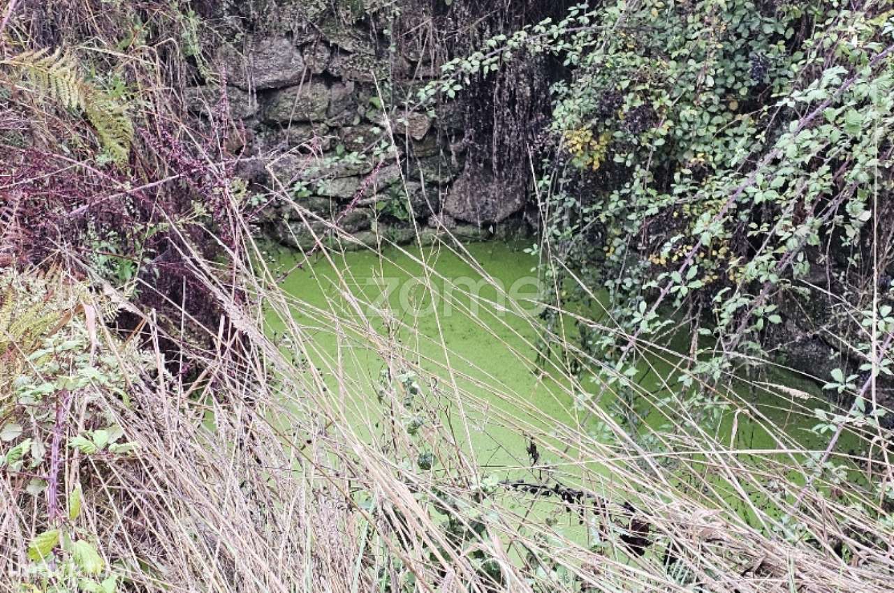 Terreno rústico , em Chã, Alijo. - Grande imagem: 4/6