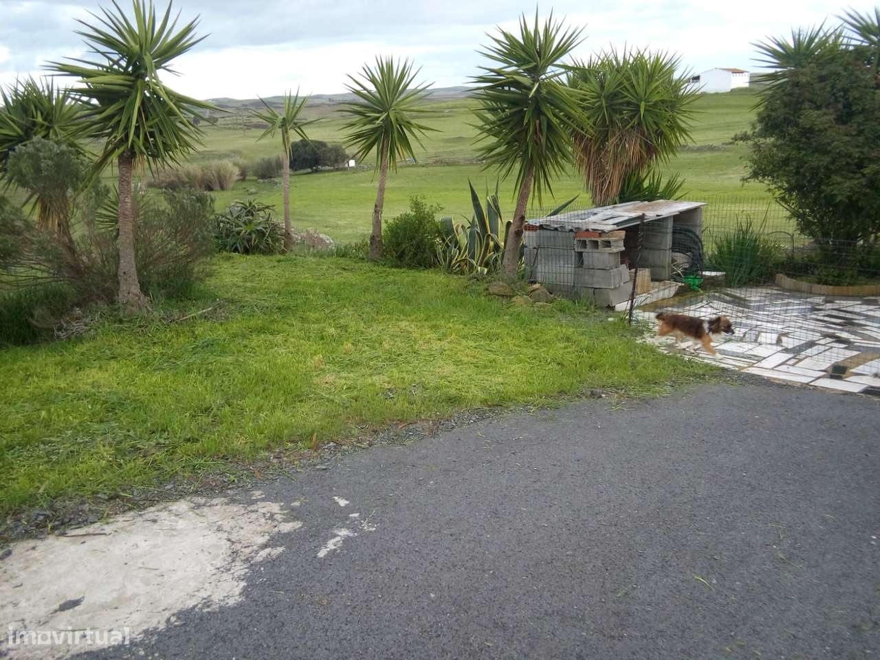 Casa de Campo Castro Verde-6