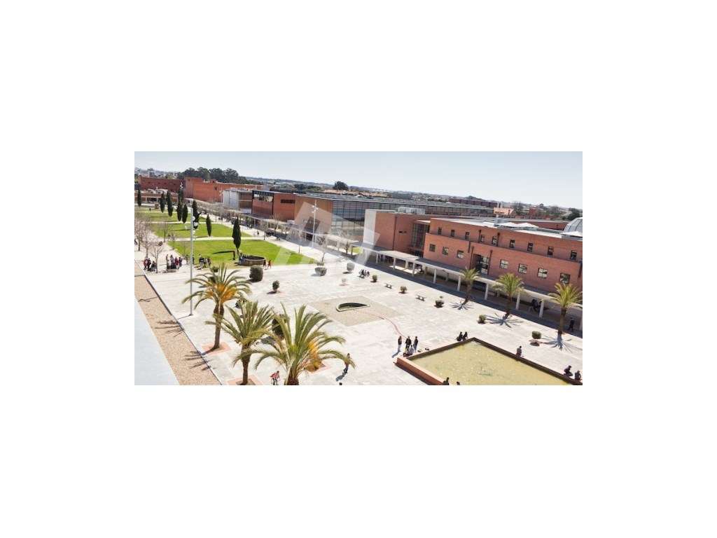 Apartamento T1 c/ Garagem | Perto da universidade-11