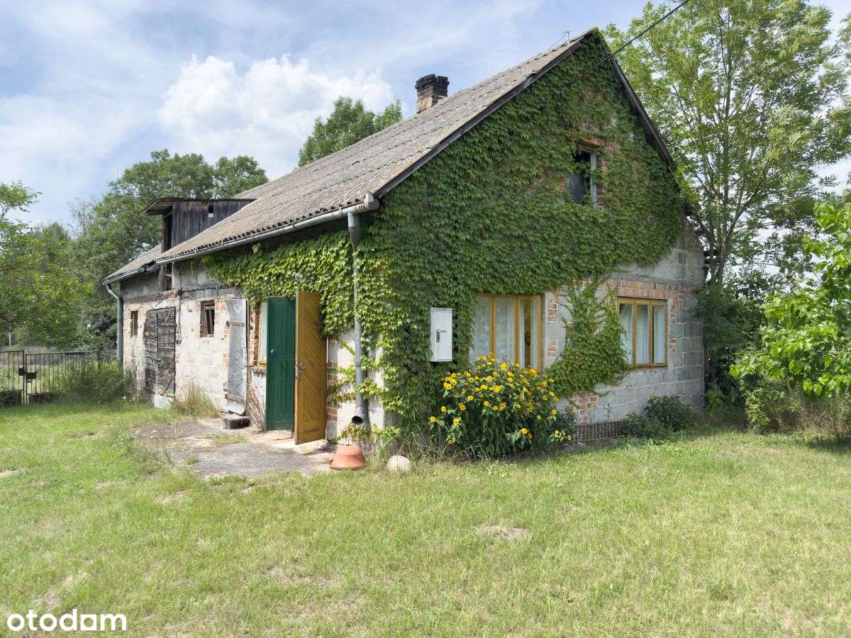 Siedlisko z domem i 2 200 m² działki nad Wisłą-17