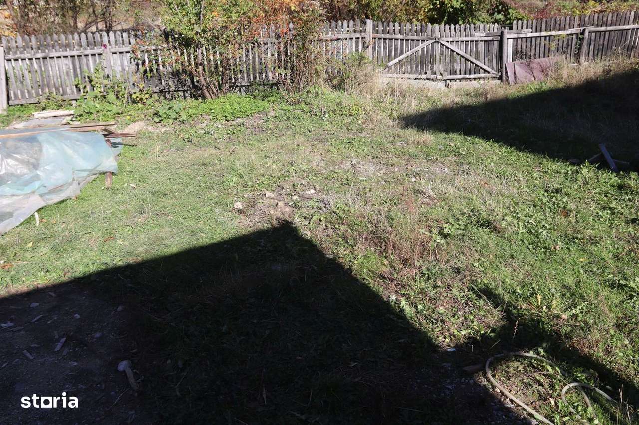 Teren Busteni - Imagine principală: 4/7