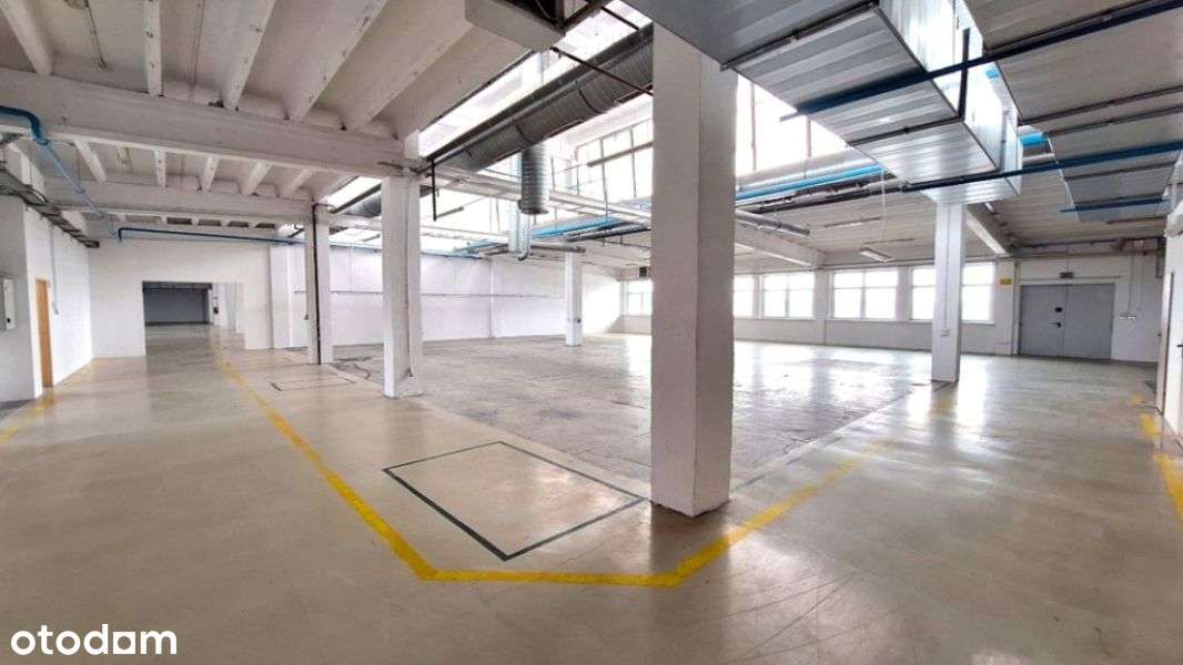 Funkcjonalna powierzchnia 700 m² na wynajem – centrum Pabianic - Pełny obrazek: 5/7