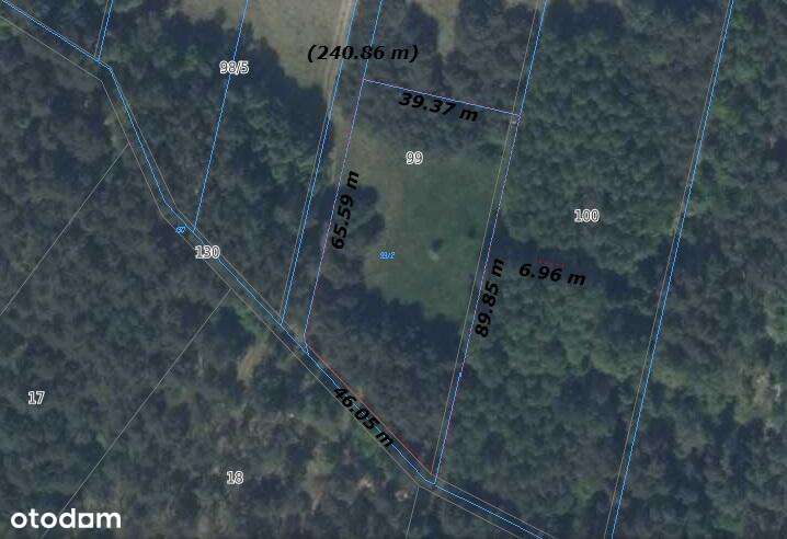 Cicha spokojna okolica Las Czyste powietrze-8