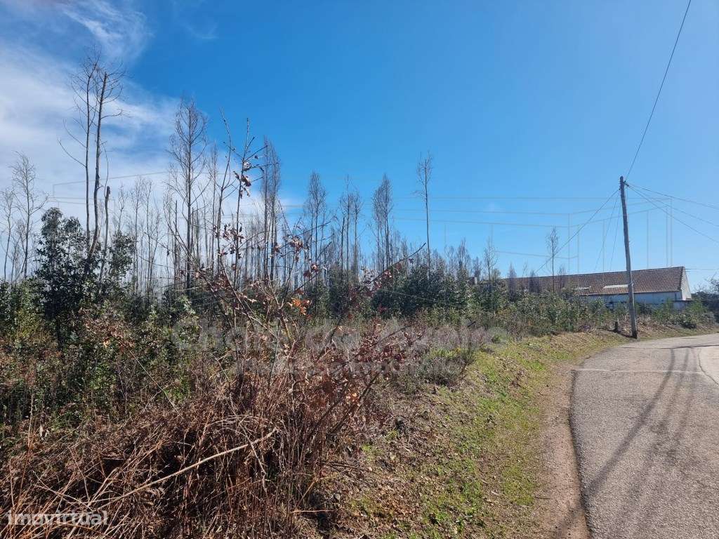 Terreno Misto com Armazém-5