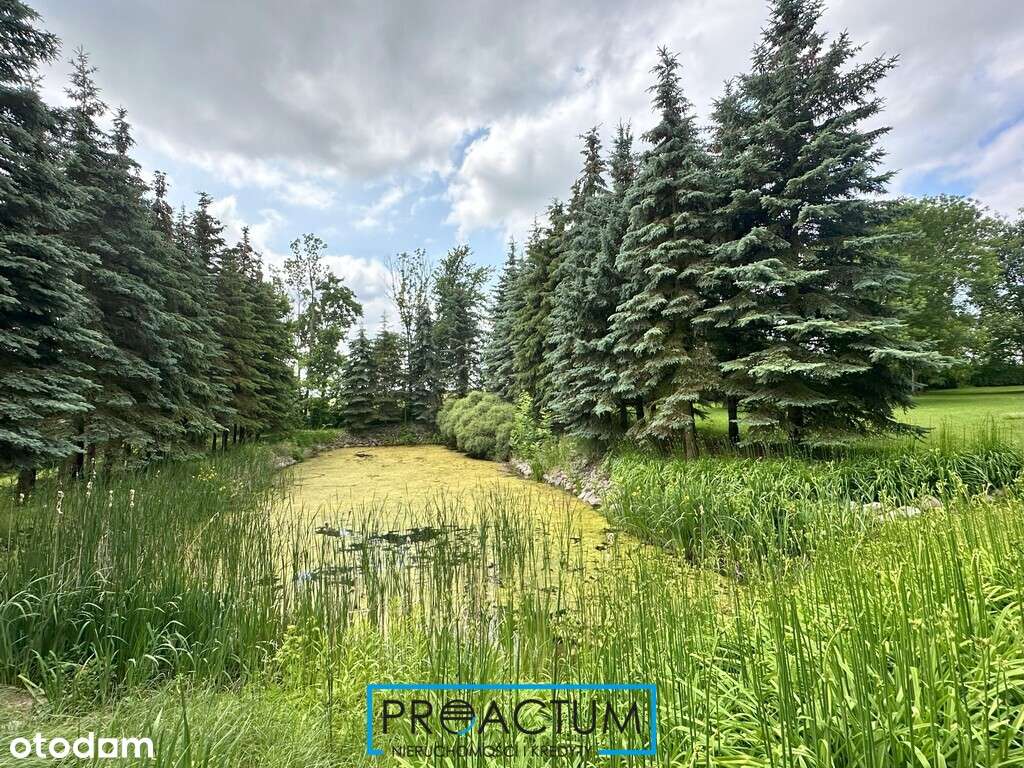 Rezydencja premium pod Toruniem-17