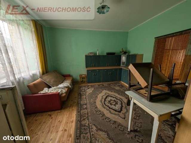 Dom z dużą działką-4