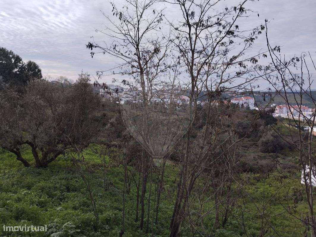 Terreno  para venda - Grande imagem: 3/5