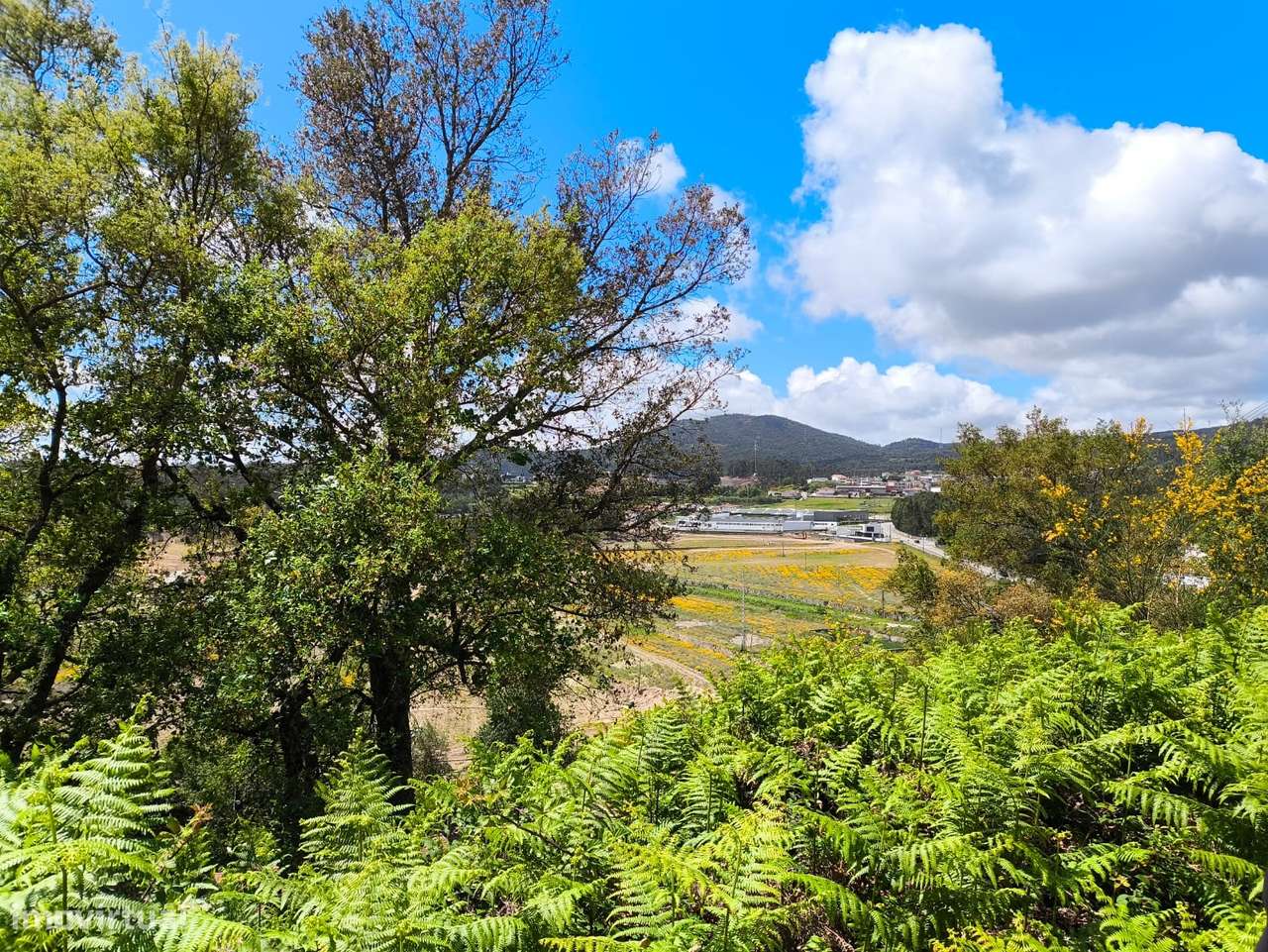 Terreno  Venda em Abade de Neiva,Barcelos-15