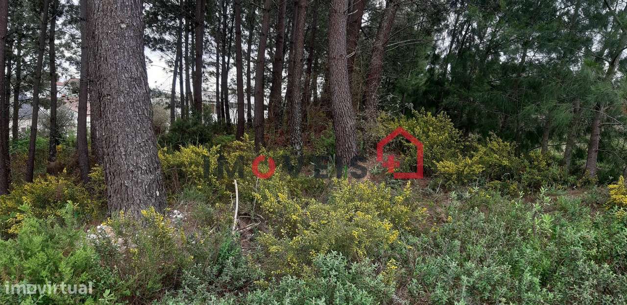 Terreno para Construção - Grande imagem: 4/4