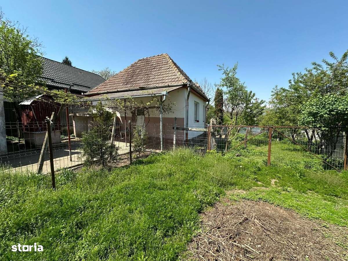 Casă DE VÂNZARE Str: Florilor Adămuș - Imagine principală: 4/19