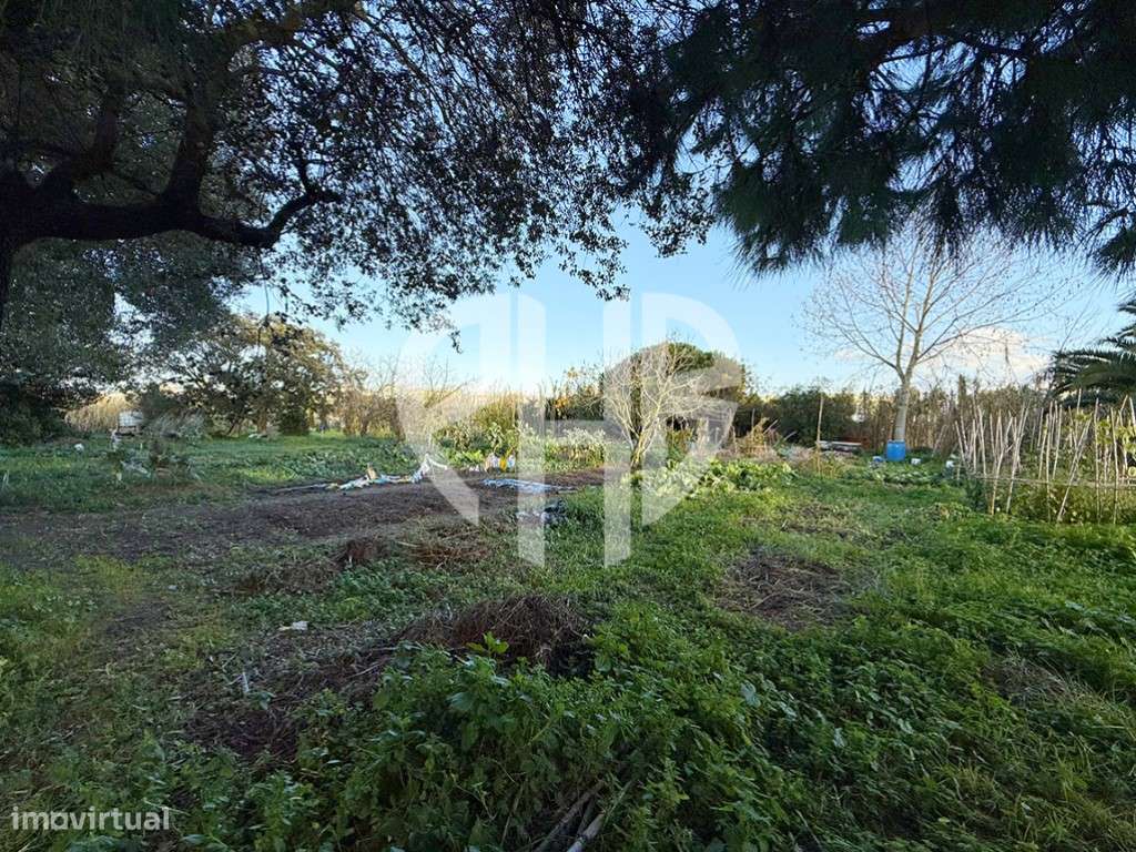 Moradia T3 + Área Terreno 4.150m2 + Atracadouro // P/Recuperar-44