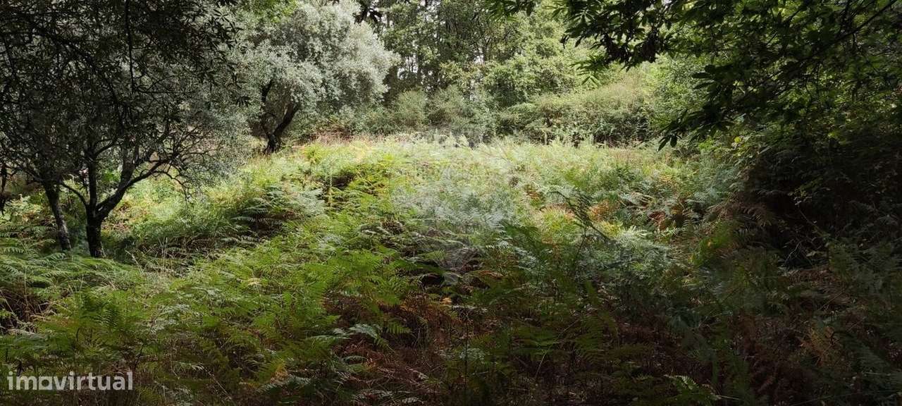 Terreno  para venda - Grande imagem: 2/12