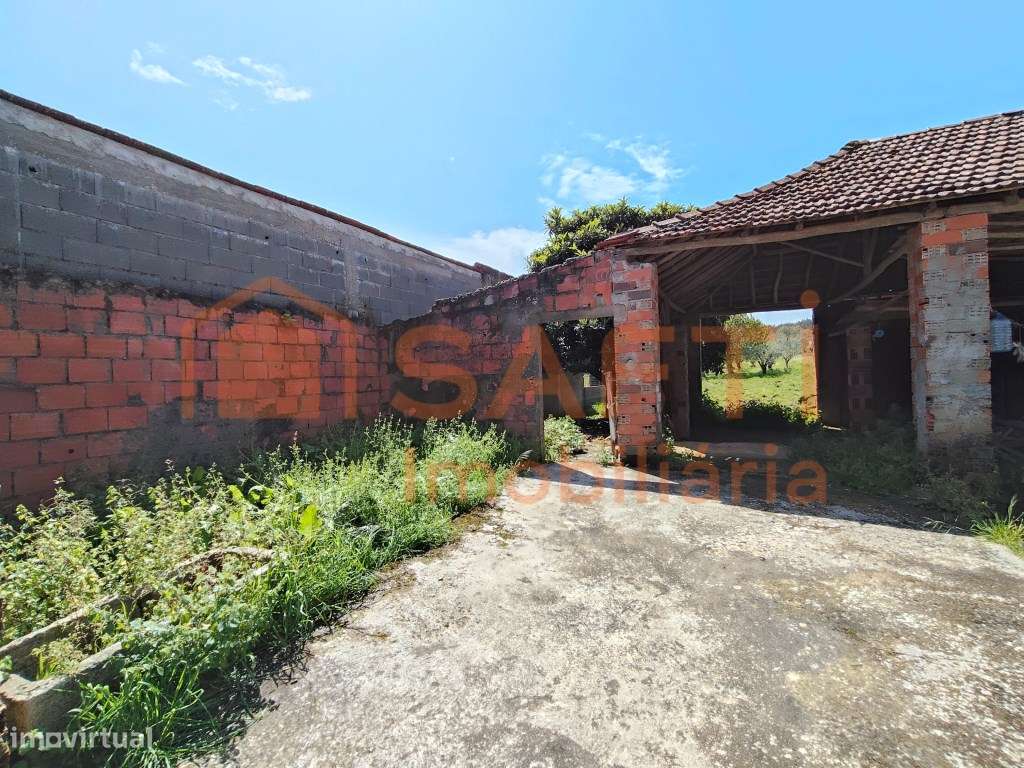 CASINHA DE CAMPO T4, COM ANEXOS, TERRENO DE CULTIVO E ALGUMAS OLIVE... - Grande imagem: 5/32