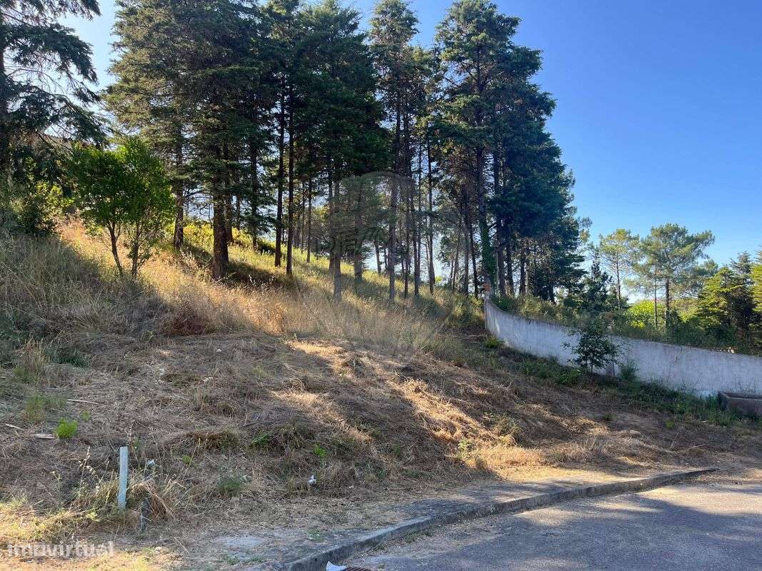 Terreno  para venda - Grande imagem: 3/4