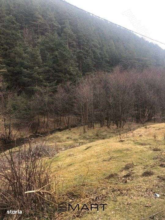 Case de vacanta zona Rasinari - Imagine principală: 5/5