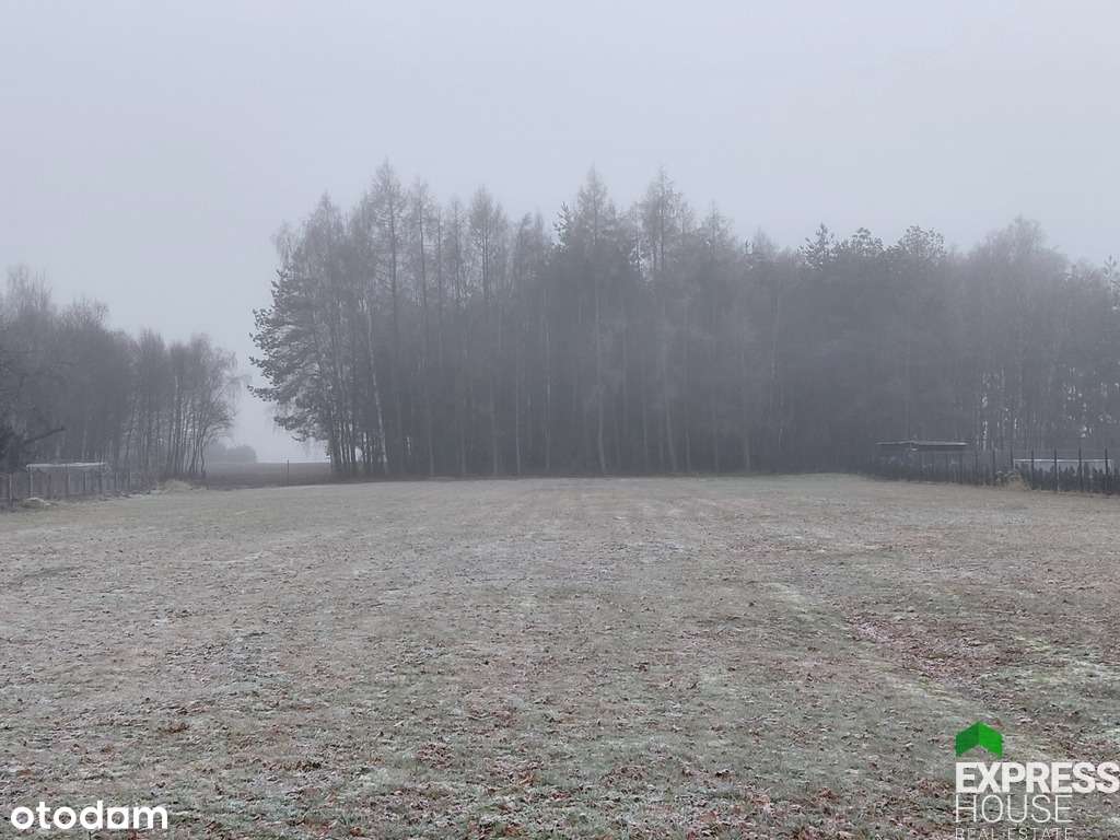 Działka 2824 m2 w Anielinie k. Łasku - Pełny obrazek: 3/9