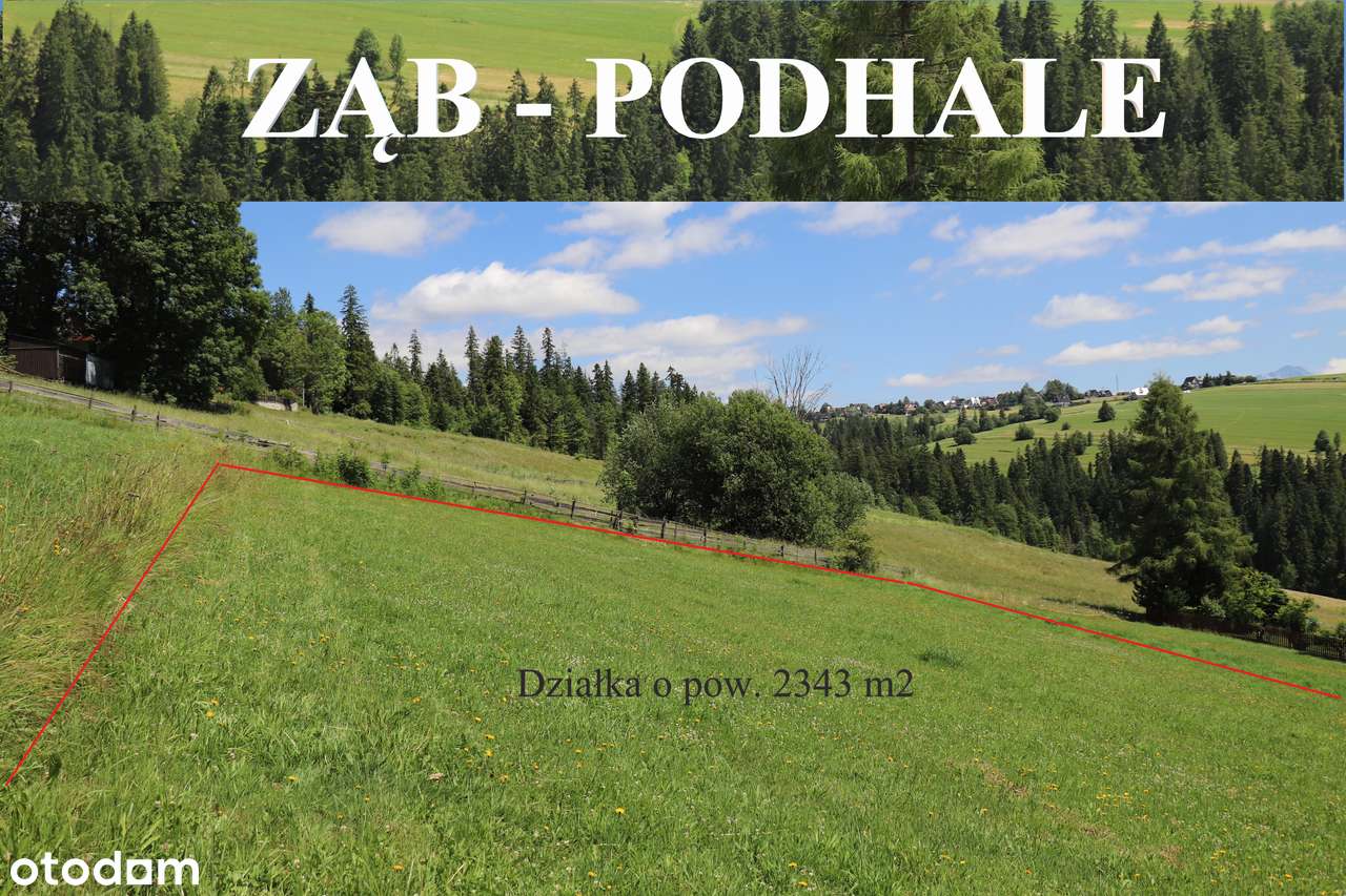 ZĄB - PODHALE. Działka do zabudowy, 963MNPM, widok na TATRY i LAS - Pełny obrazek: 5/5