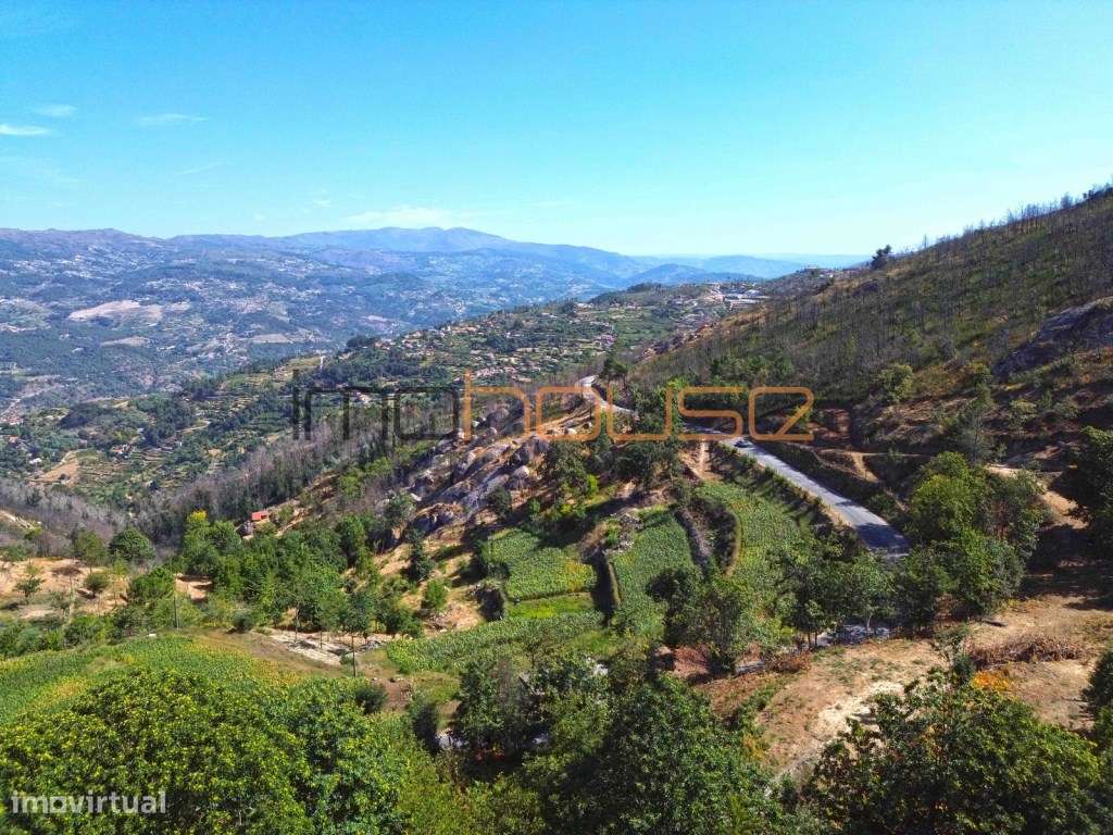 Quinta de 2ha com vista panorâmica - Freigil-21