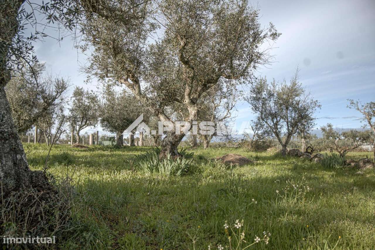 Terreno para venda em Póvoa de Rio de Moinhos - Grande imagem: 5/25