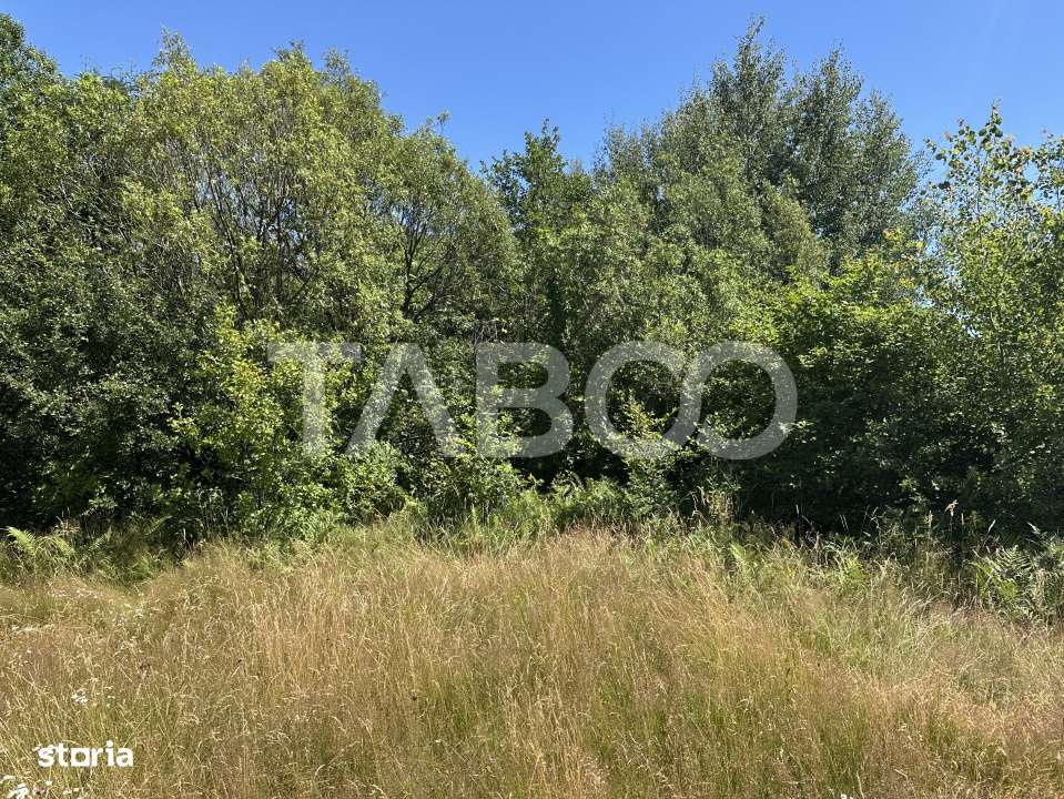 Comision 0% Teren extravilan cu utilitati 2000 mp pe Valea Sebesului - Imagine principală: 2/3