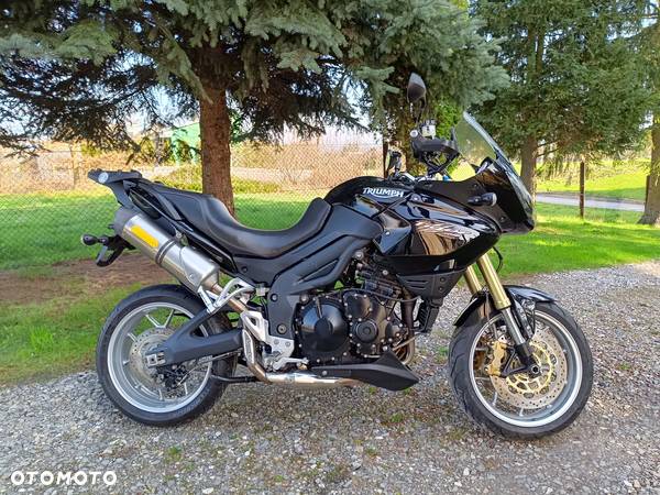 Triumph Tiger - 3