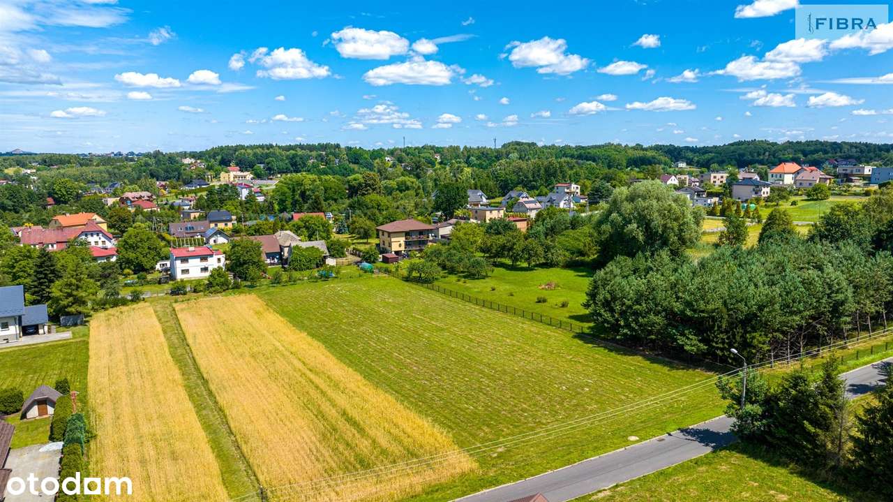 Duża, słoneczna, płaska, w spokojnej okolicy. - Pełny obrazek: 4/12