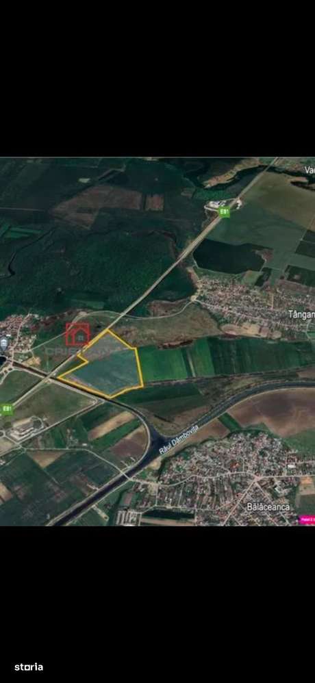 Teren intravilan 50000 mp, Tanganu (Cernica), A2, Ilfov - Imagine principală: 5/5