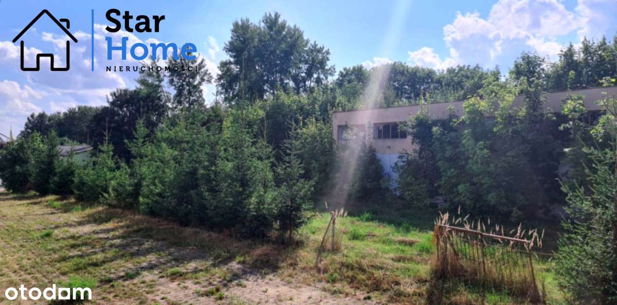 Lokal usługowo - handlowy w atrakcyjnej cenie! - Pełny obrazek: 5/7