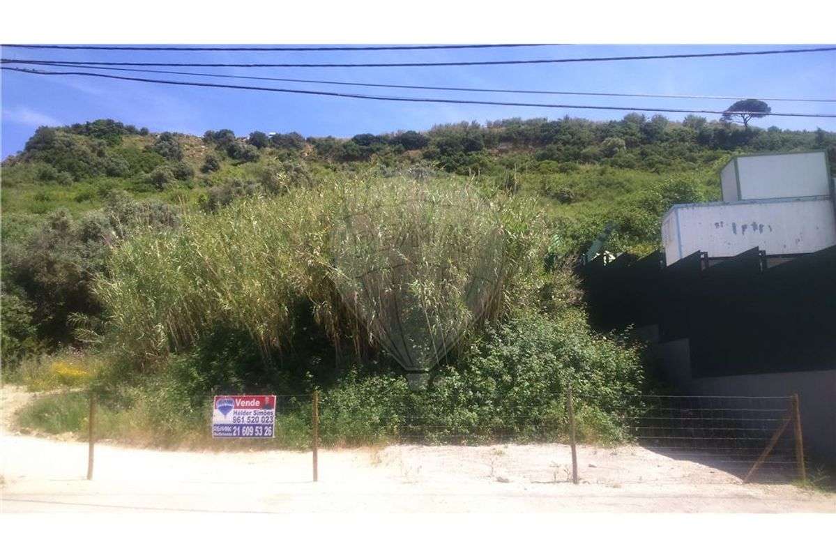 Terreno  para venda - Grande imagem: 5/16