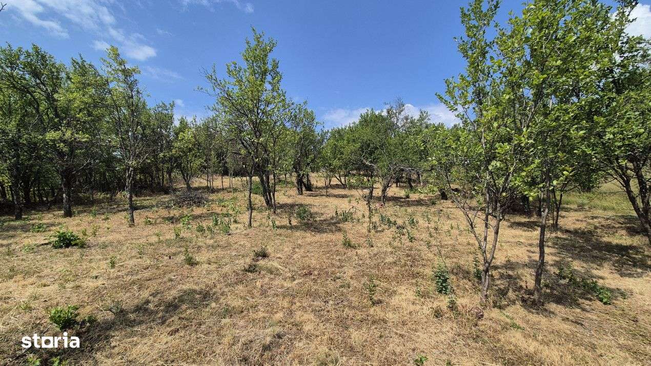 Vanzare proprietate in apropiere de complex turistic Musetesti - Imagine principală: 5/10