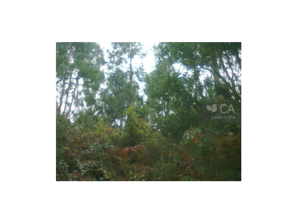 Terreno para construção - Grande imagem: 2/4