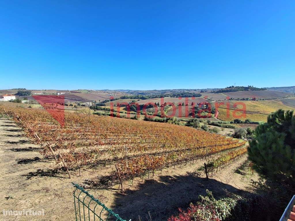 Moradia Rustica inserida numa Magnifica Paisagem Vinícola-26