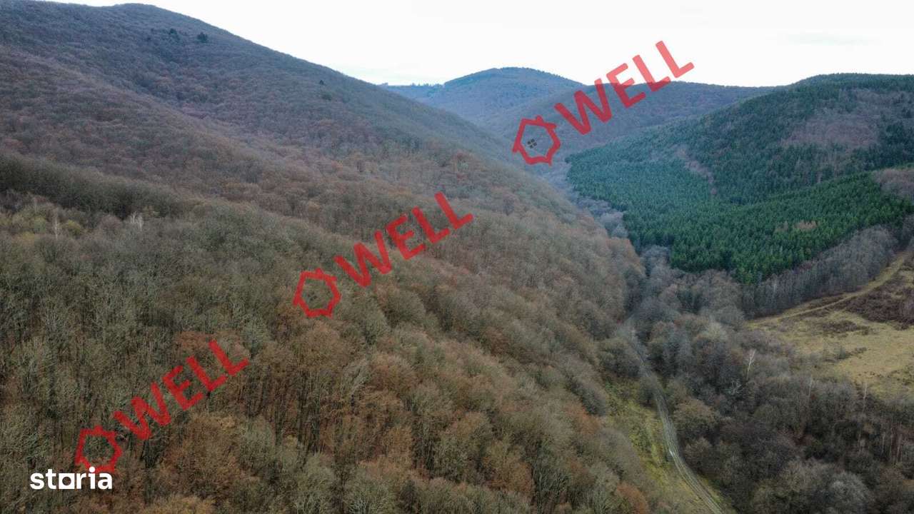 De vânzare teren extravilan în loc.Malnaș - Imagine principală: 2/7