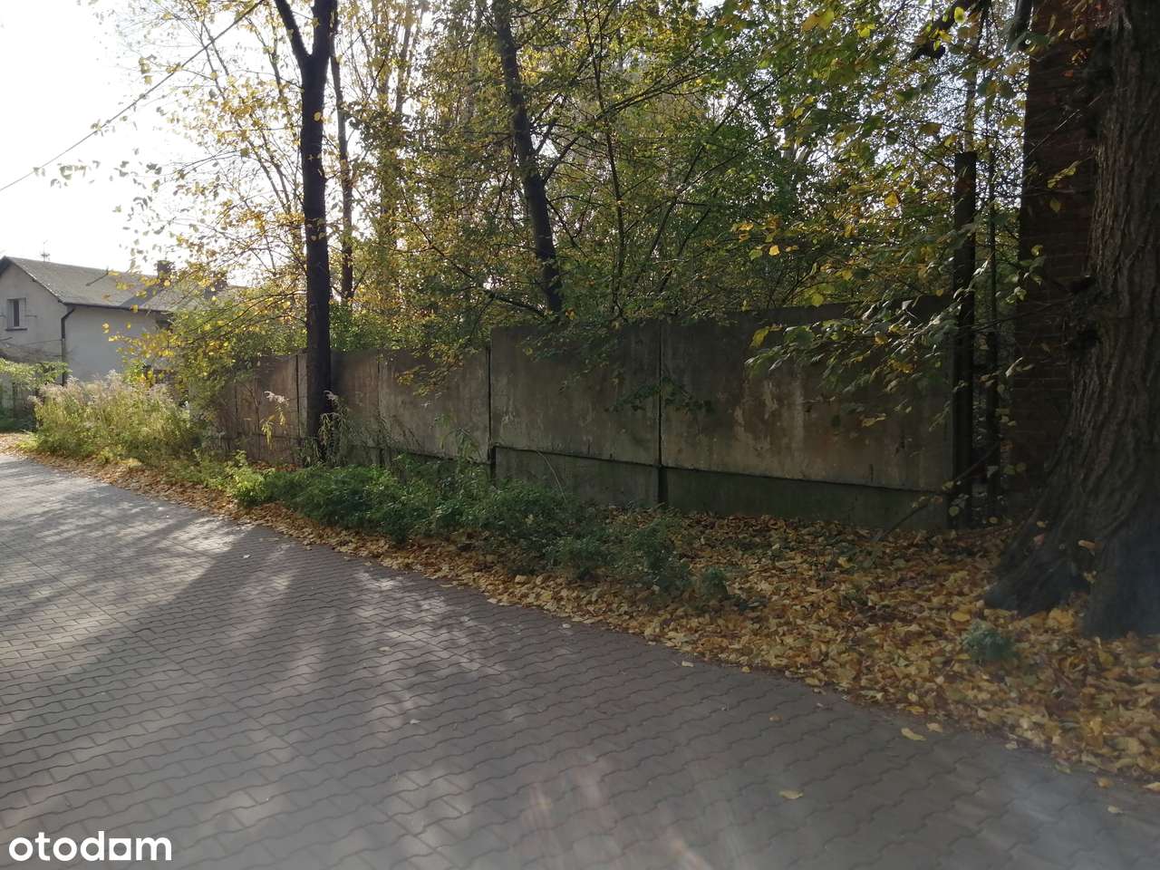 PUSZCZYKOWO przy Warcie-1