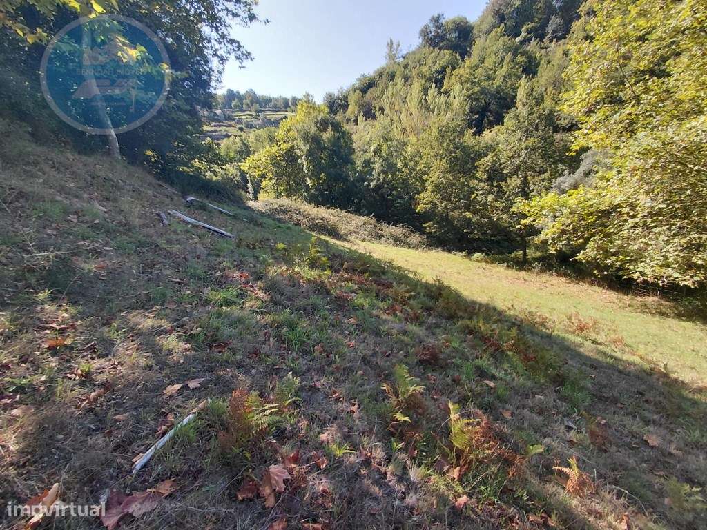 Casa Rústica em Pedra com Terreno para Restauro - Cambeses, Cabecei...-44