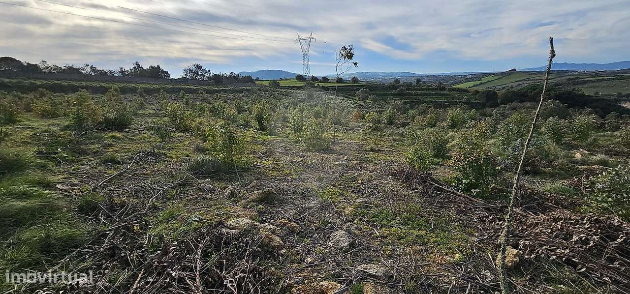 Terreno  para venda - Grande imagem: 5/15