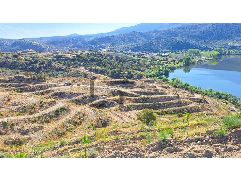Quinta com 10 Ha, com Potencial Turístico e Residencial, para Venda... - Grande imagem: 4/31