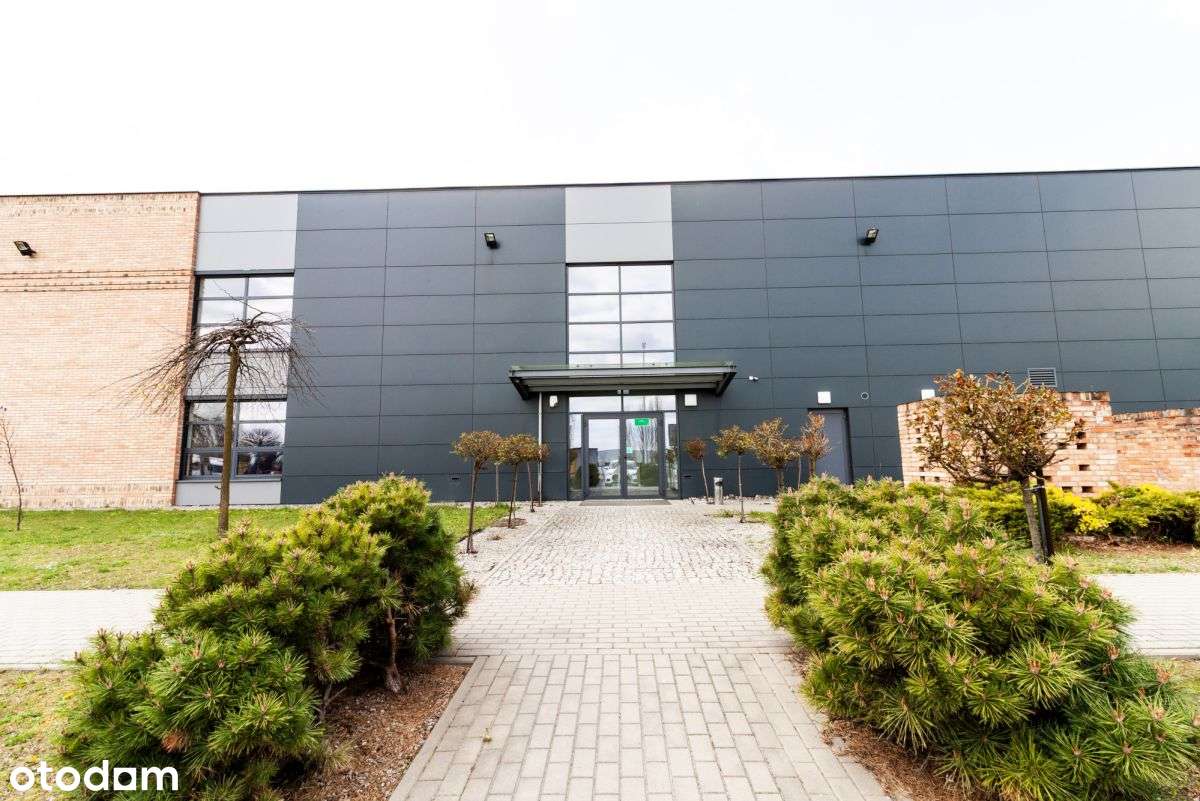 Powierzchnia biurowa | możliwy podział - Pełny obrazek: 4/9