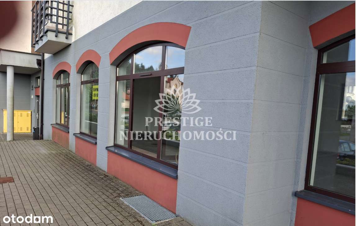 Duży lokal użytkowy/wynajem/Niemcz - Pełny obrazek: 5/5