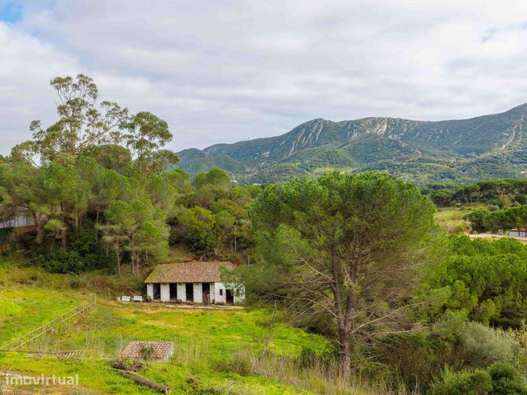 Quinta do Levante: Refúgio de Luxo com Projeto Aprovado no Coração ...-26