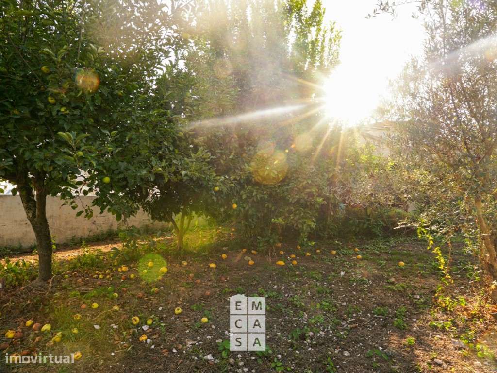 Terreno com projeto aprovado - Grande imagem: 5/15