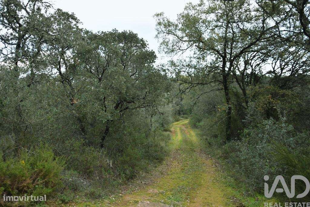 Terreno em Areias e Pias de 1080,00 m2 - Grande imagem: 3/21