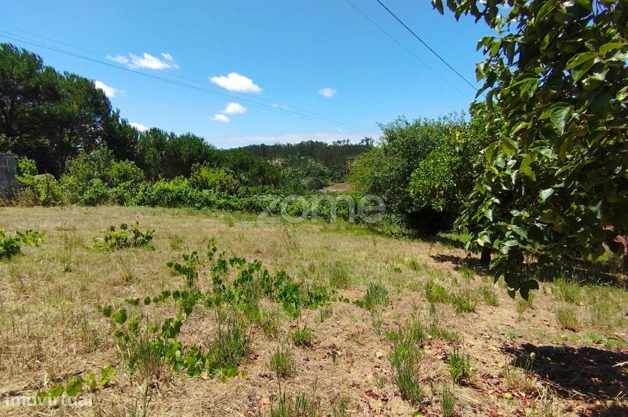 Terreno Almagreira-14