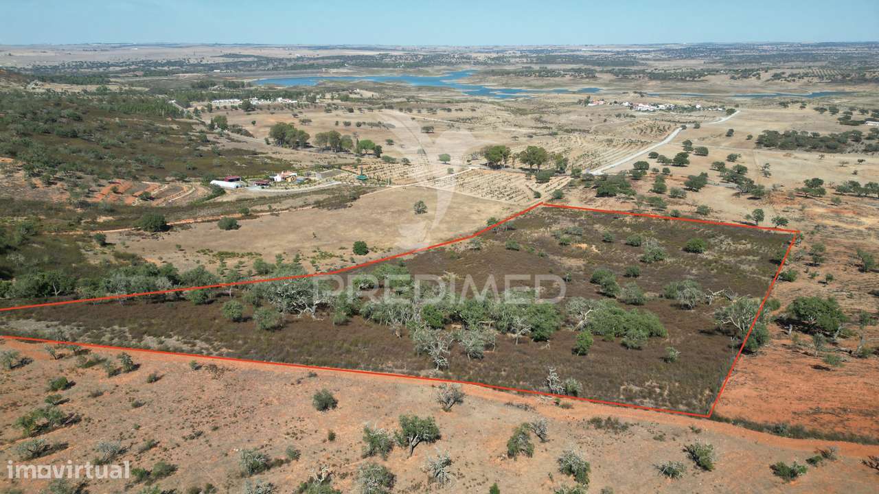 Terreno rústico com 5,2500 ha em Chada velha, Ourique - Grande imagem: 2/11