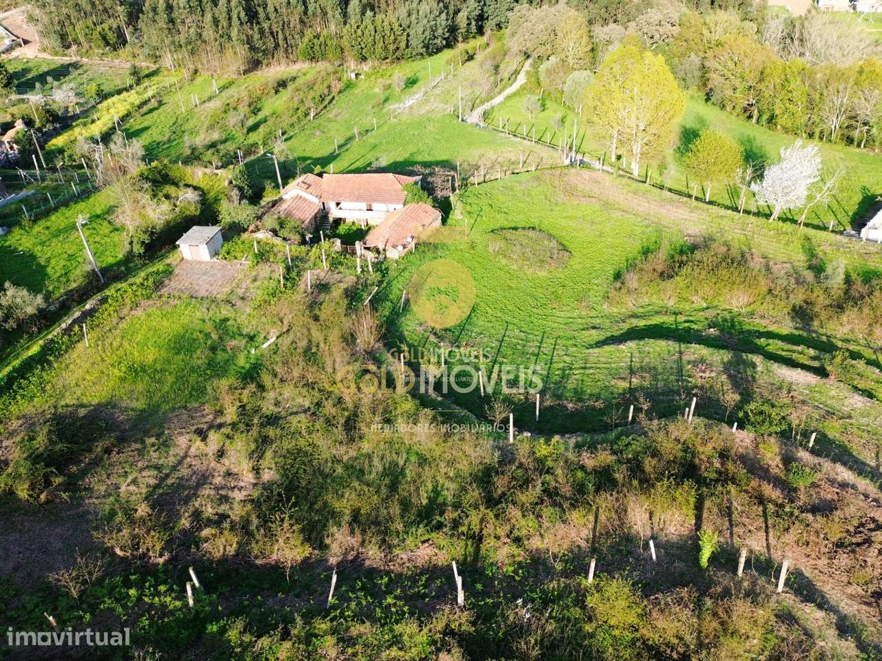 Quintinha T3 Venda em Santa Maria de Sardoura,Castelo de Paiva-28
