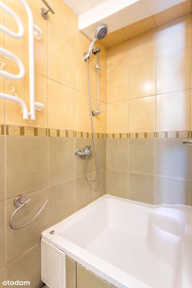 Mieszkanie do remontu w Centrum-2