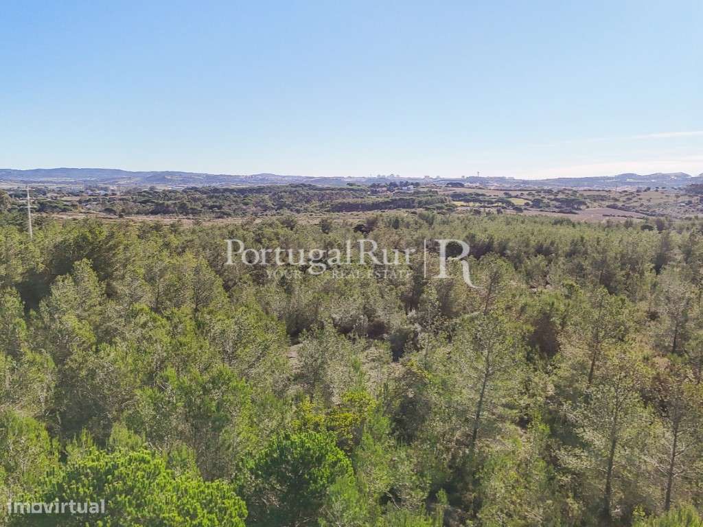 Terreno com 5.500m2 e projecto aprovado para moradia na região de S... - Grande imagem: 5/31