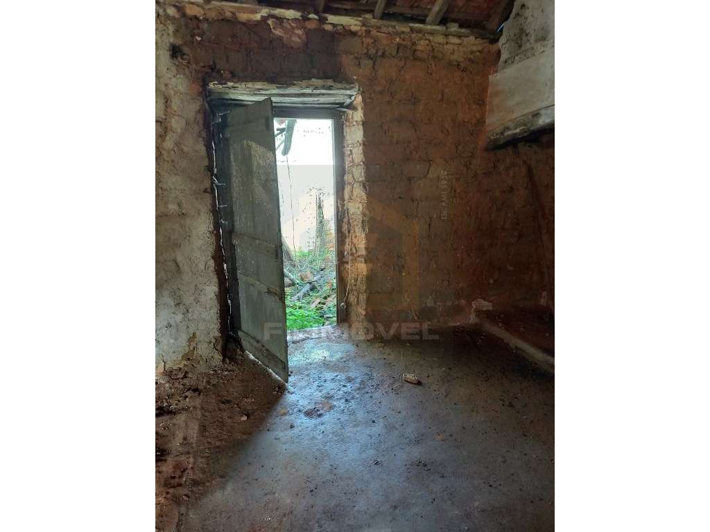 Moradia T3 - Para recuperar - Tomar - Grande imagem: 5/6